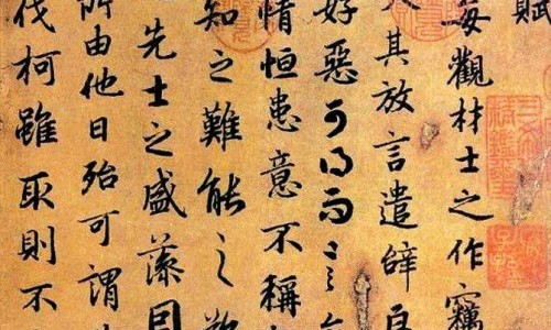 何首乌中药片-何首乌价钱、中药何首乌的图片 -中药何首乌的价格网