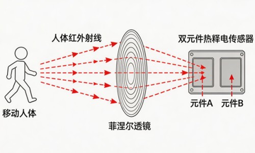 中药何首乌对肝脏有损害吗-何首乌价钱、中药何首乌的图片 -中药何首乌的价格网